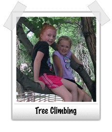 tree climbing