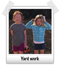 yard work