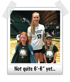 vball