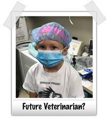 Madeline helping at the vet